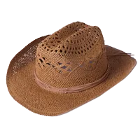 cowboy hat