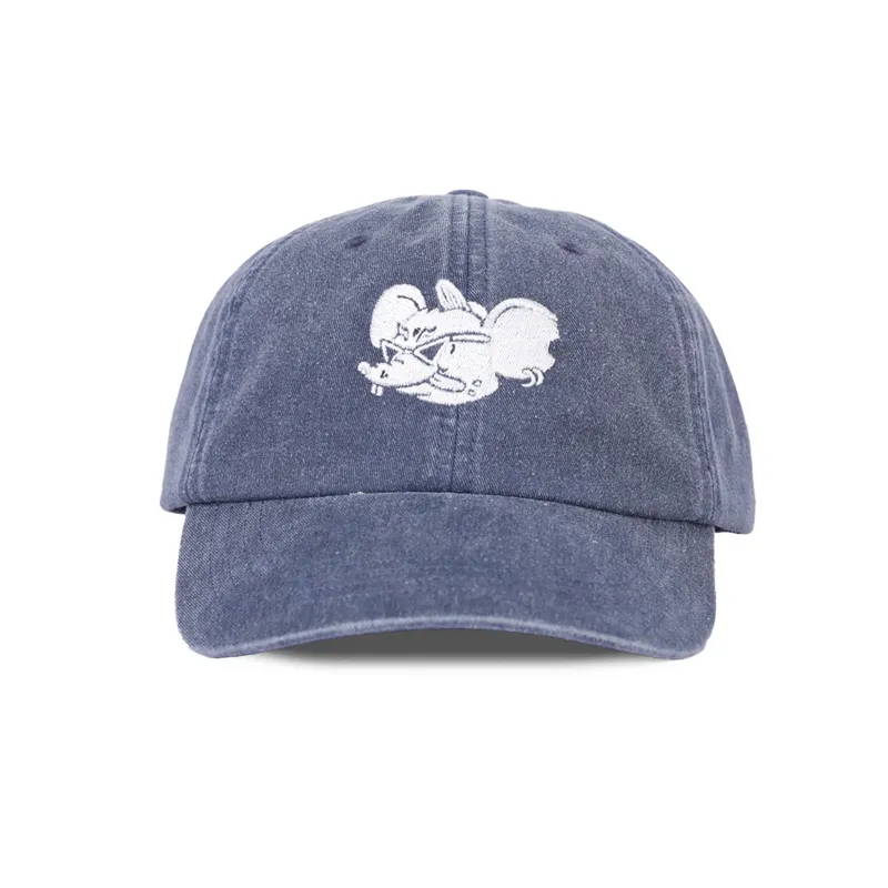 embroidered dad hat