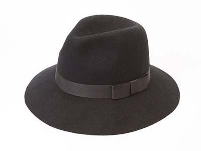 The Future Trend of Fedora in 2023