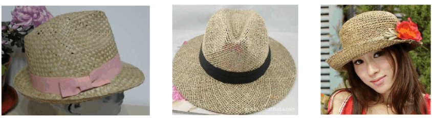23 Raw Materials For Making Straw Hats
