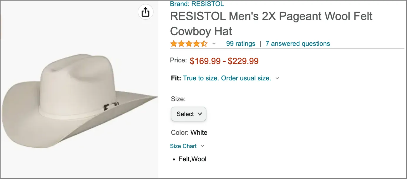 Resistol_cowboy_hat.webp