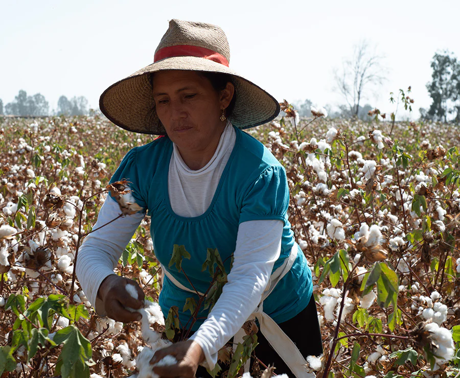 organic_cotton_chats_caps_cotton.jpg